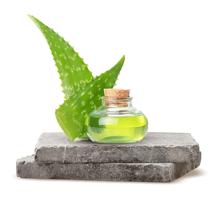 zao aloe vera mascara Aloe Vera Mascara Refill