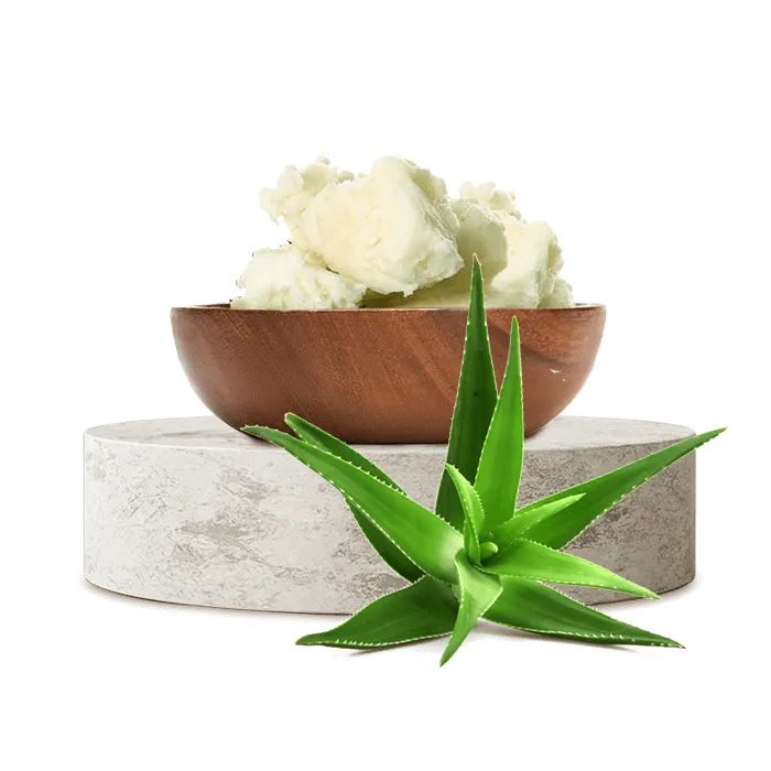 Aloe Vera Butter Fiyatlar | Kat Aloe Vera Ya Satn Al | Sabunaria