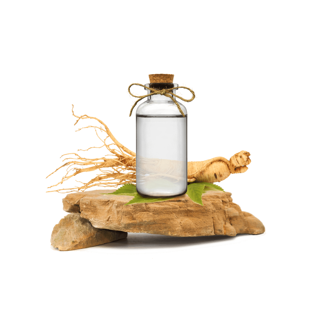 Ginseng Ekstraktı - Ginseng Root Extract