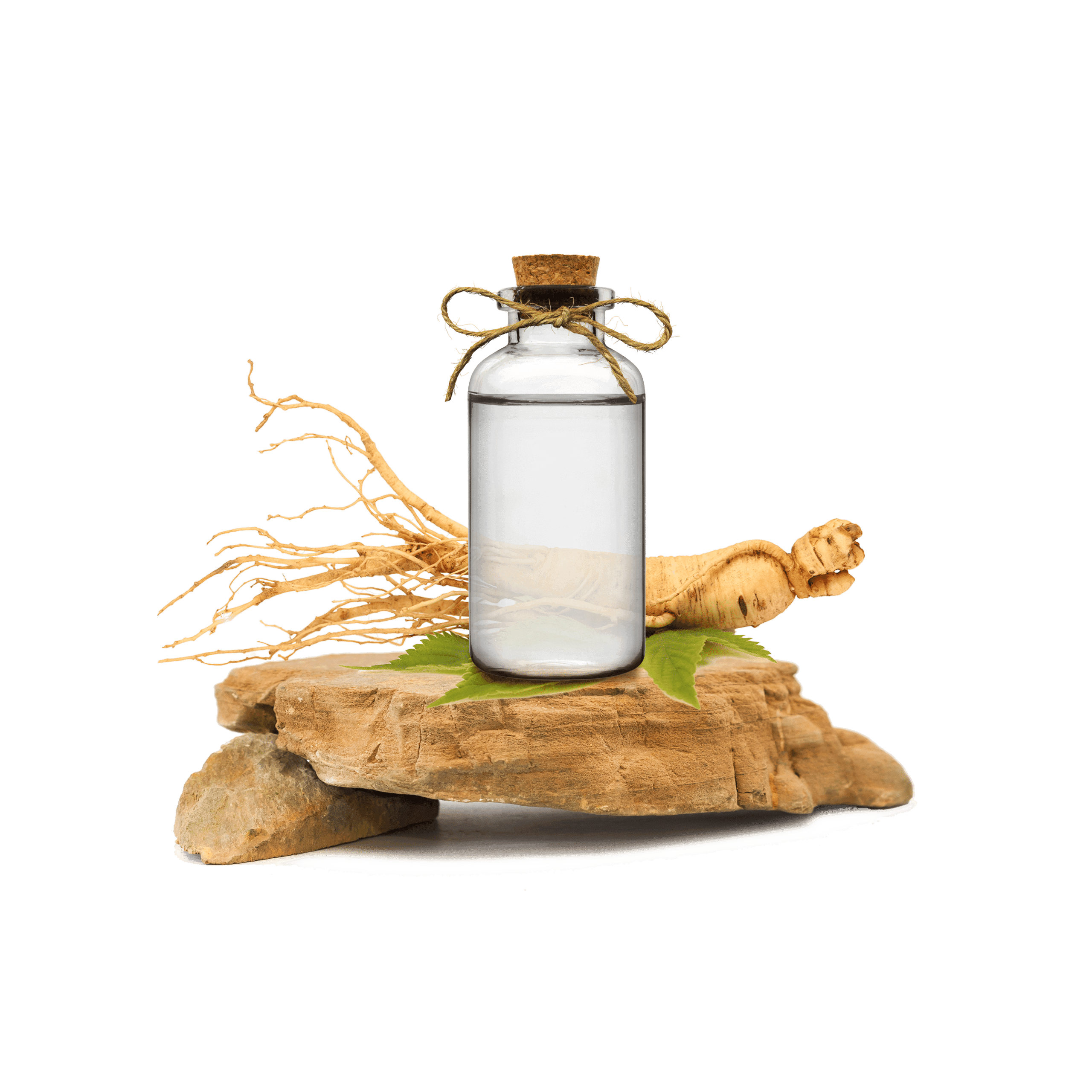 Ginseng Ekstraktı - Ginseng Root Extract