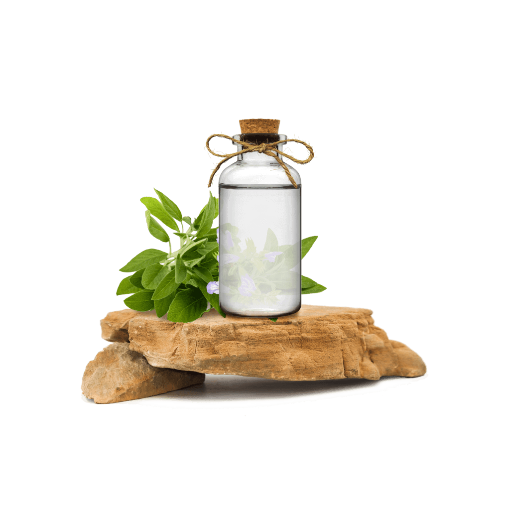 Adaçayı Ekstraktı - Sage Extract