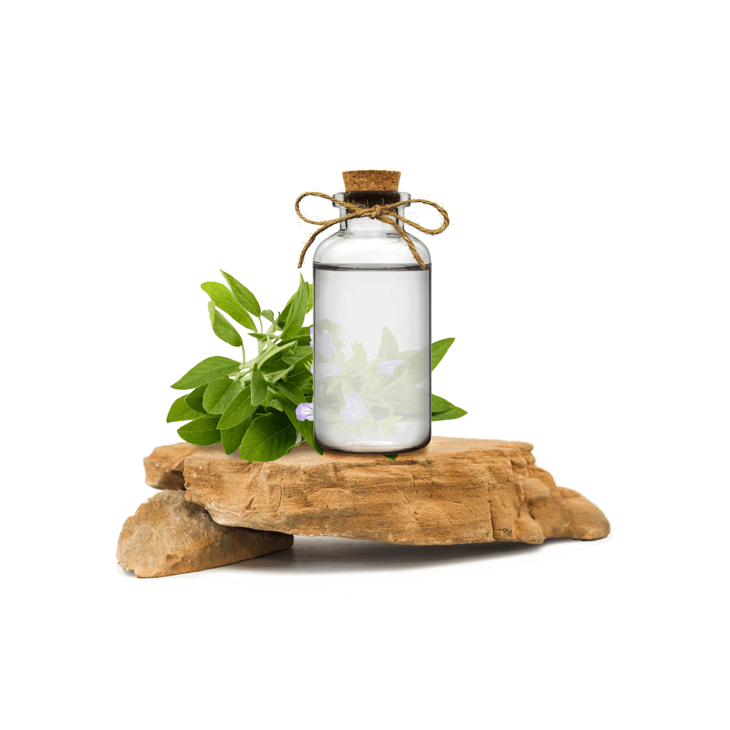 Adaçayı Ekstraktı - Sage Extract