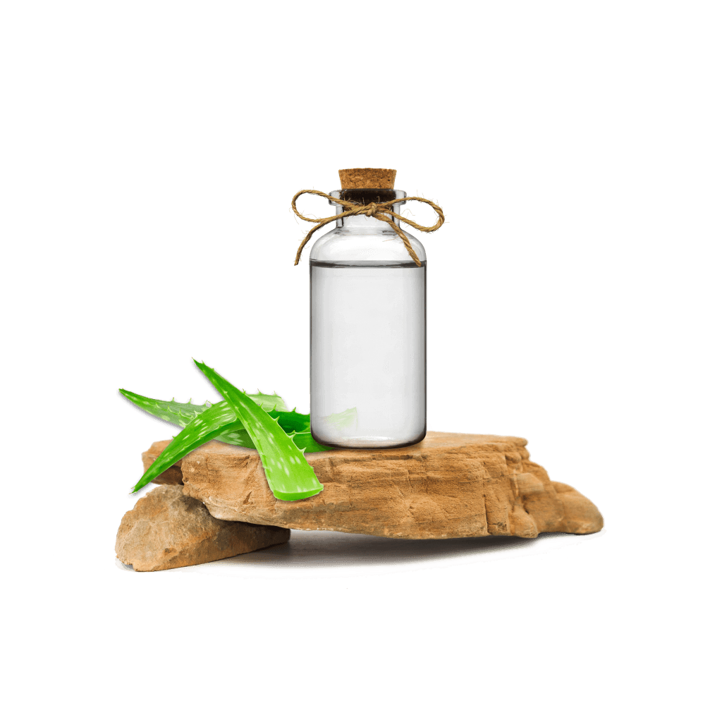 Aloe Vera Ekstraktı - Aloevera Extract