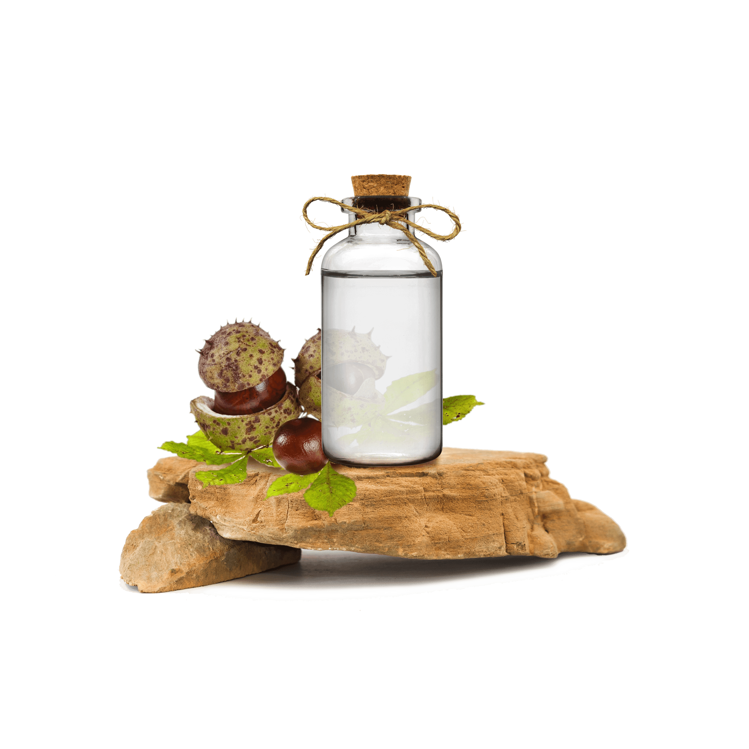 At Kestanesi Ekstraktı - Horse Chestnut Extract