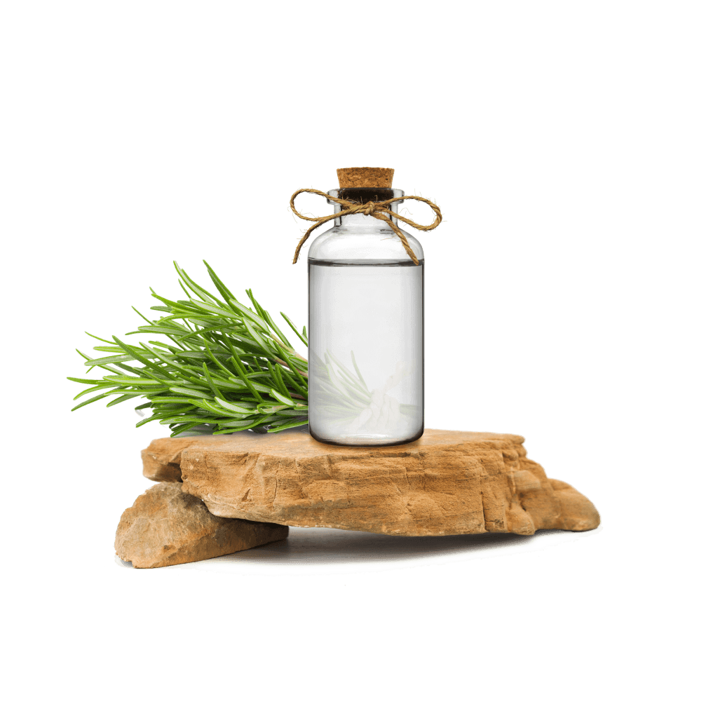 Biberiye Ekstraktı - Rosemary Extract
