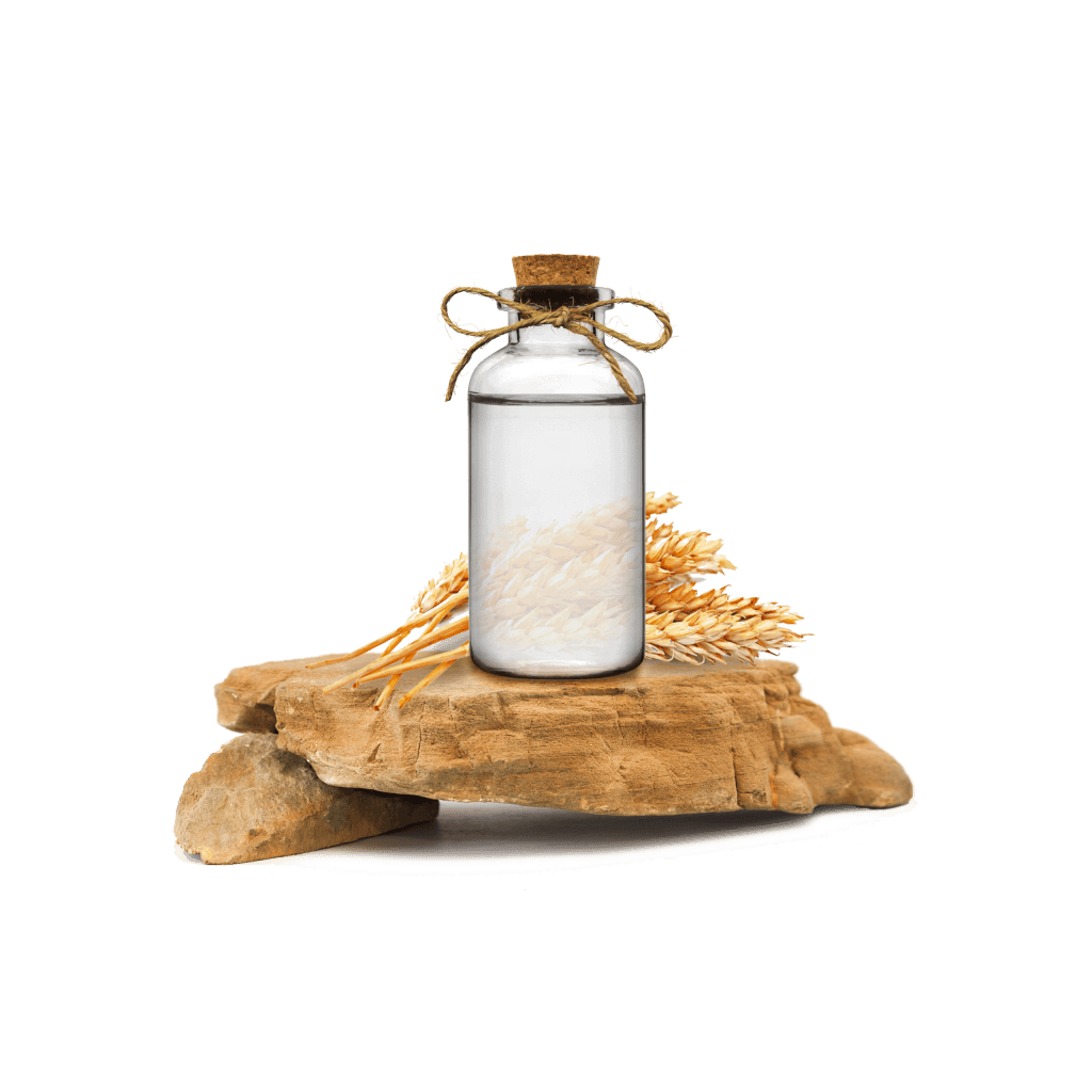 Buğday Ruşeymi Ekstraktı - Wheat Germ Extract