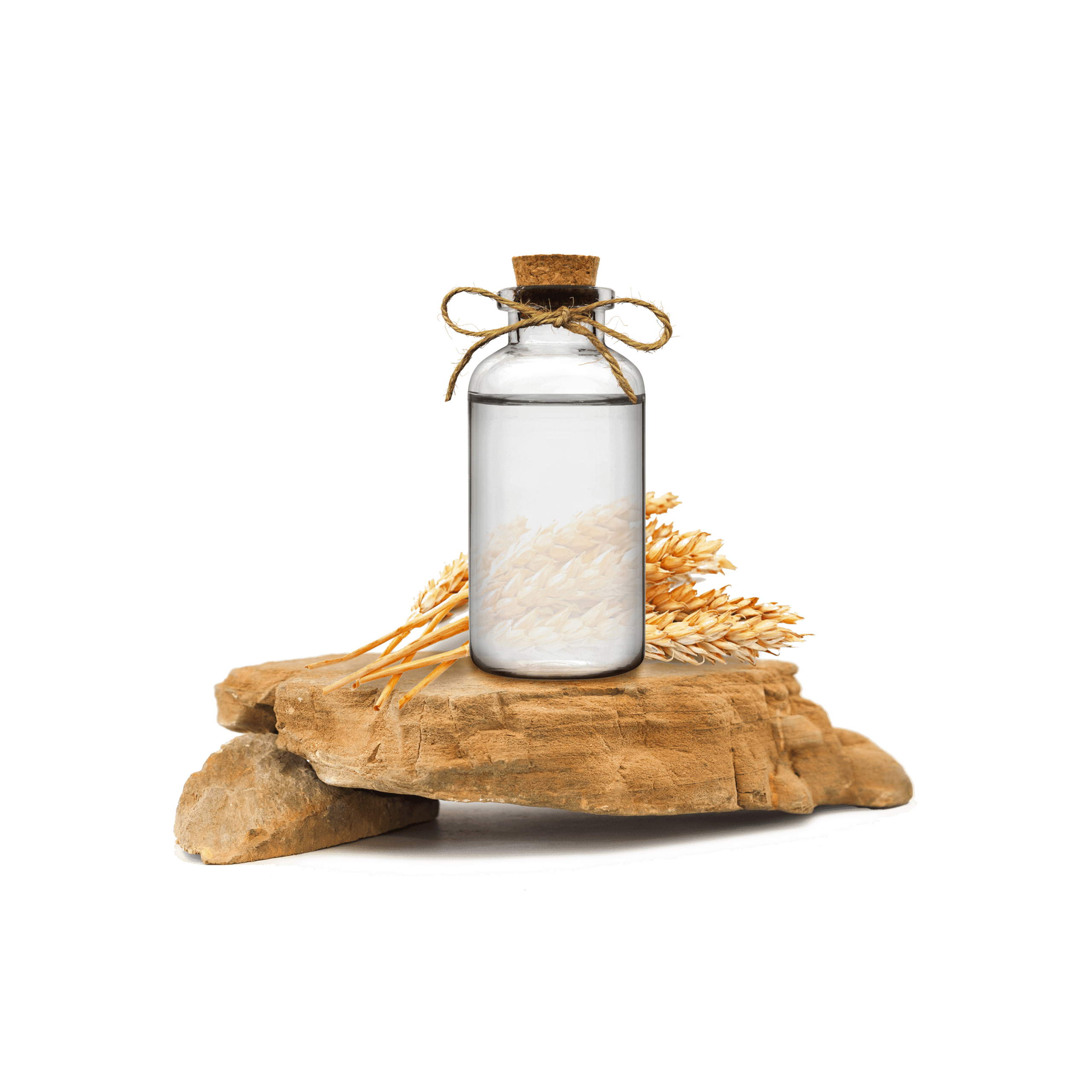 Buğday Ruşeymi Ekstraktı - Wheat Germ Extract