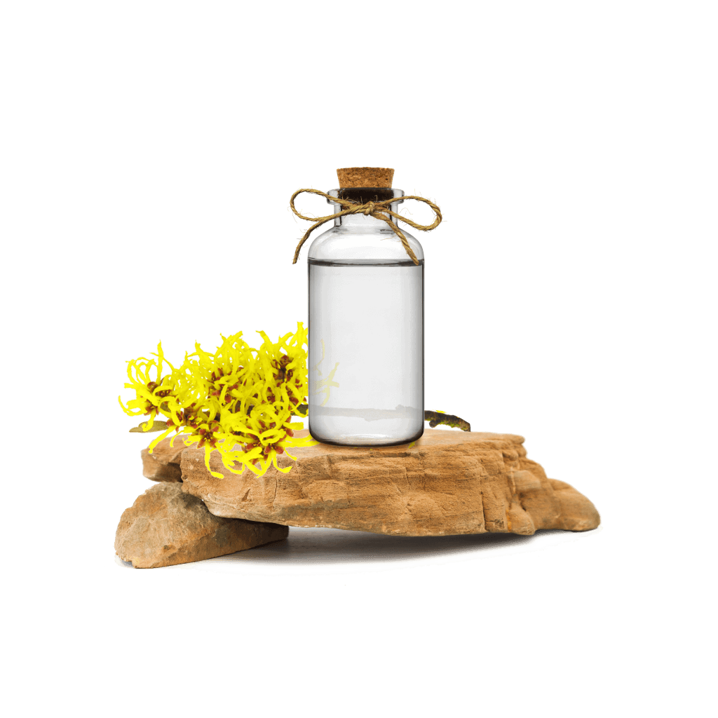 Witch Hazel Hydroglycolic Extract (Cadı Fındığı Ekstraktı)