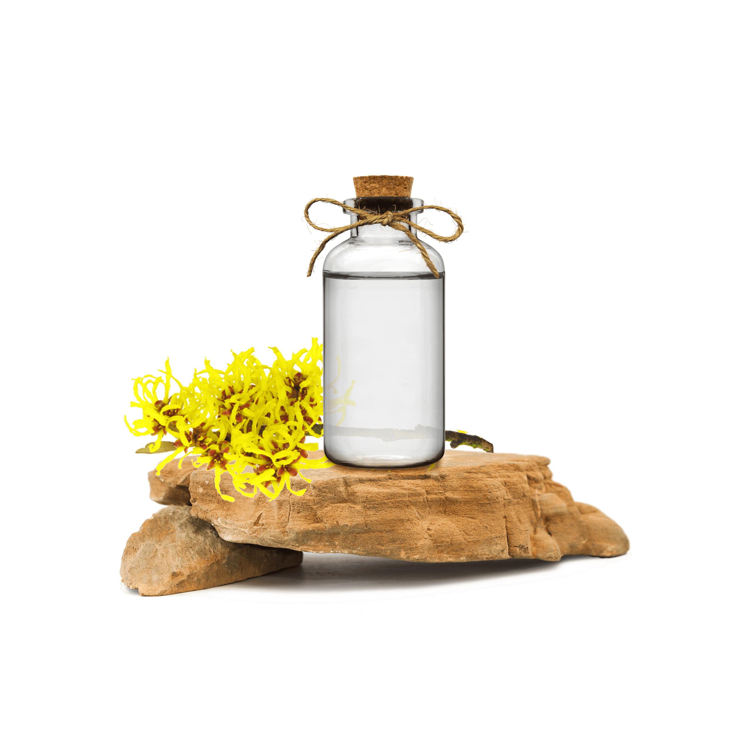 Witch Hazel Hydroglycolic Extract (Cadı Fındığı Ekstraktı)