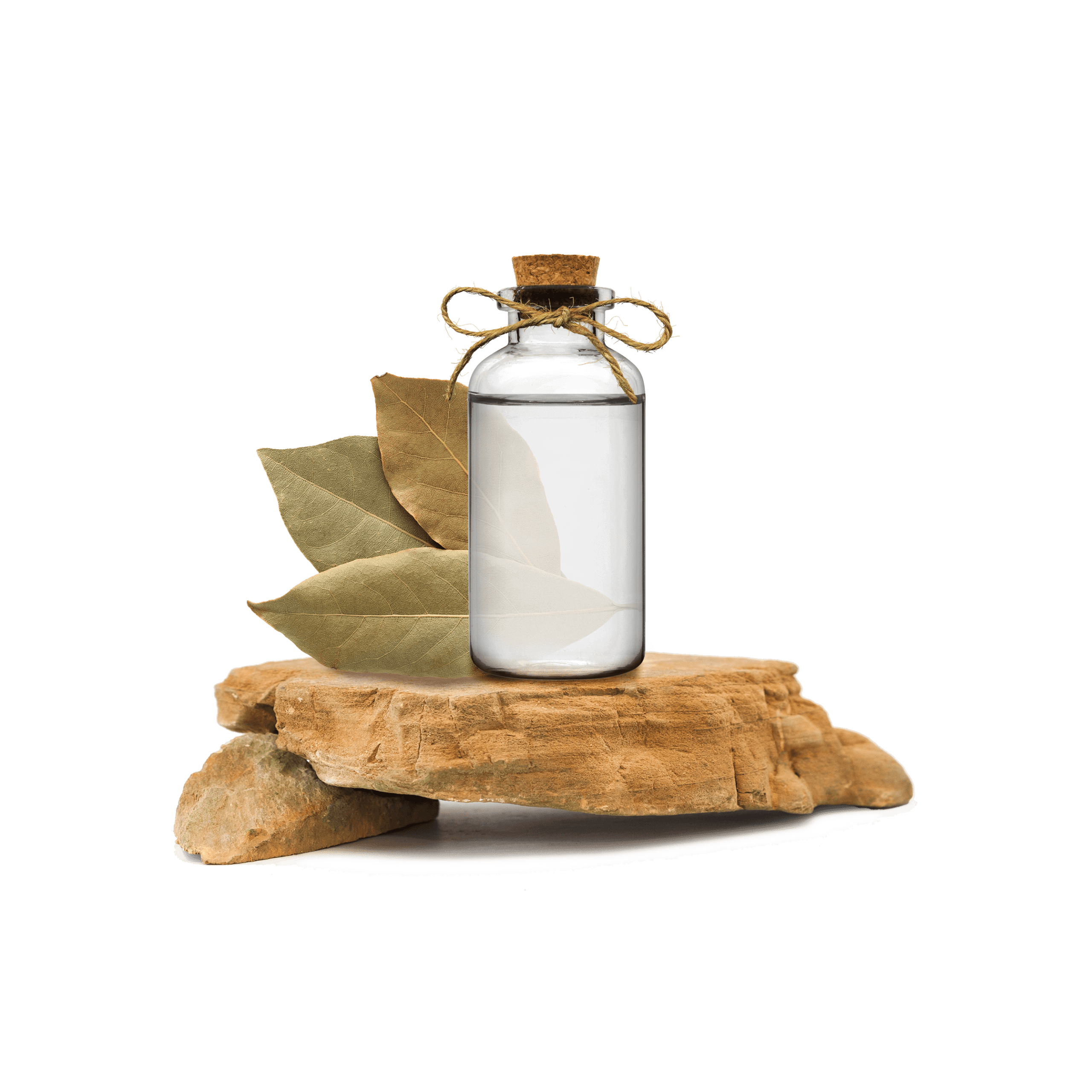 Defne Yaprağı Ekstraktı - Lauris Nobilis Extract