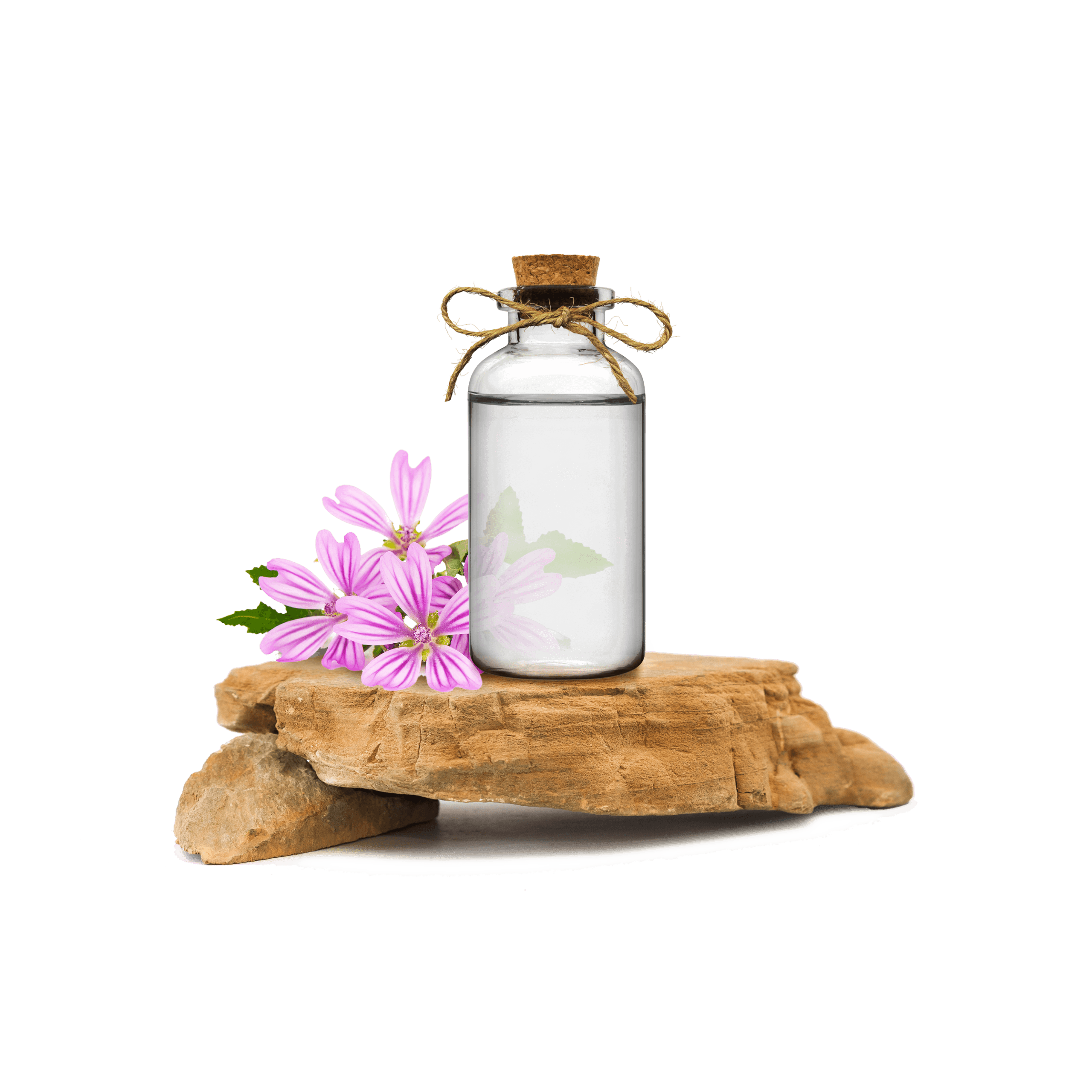 Ebegümeci Ekstraktı - Malva Sylvestris Extract