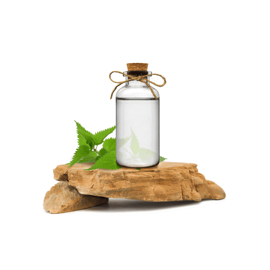 Isırgan Yaprağı Ekstraktı - Nettle Leaf Extract