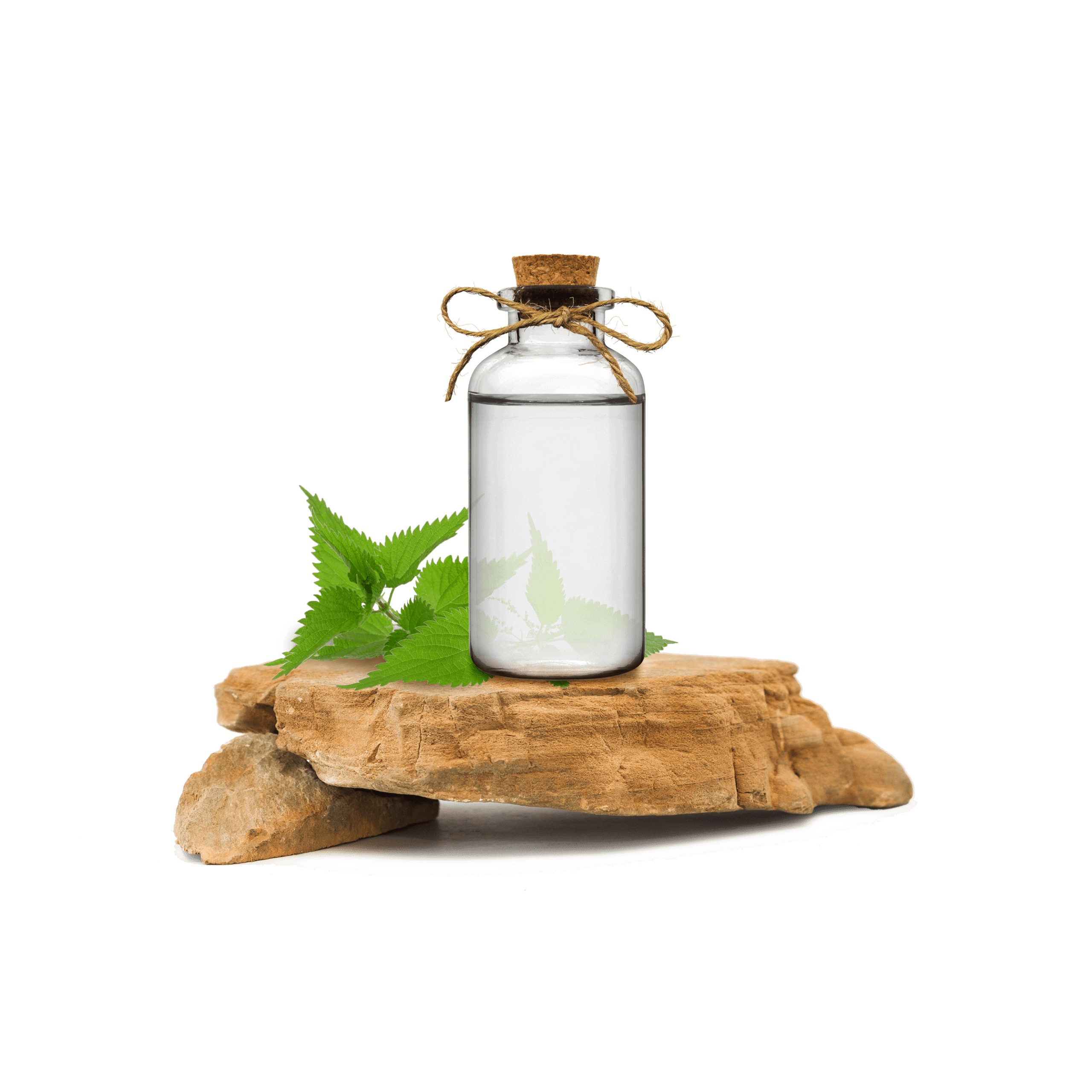 Isırgan Yaprağı Ekstraktı - Nettle Leaf Extract