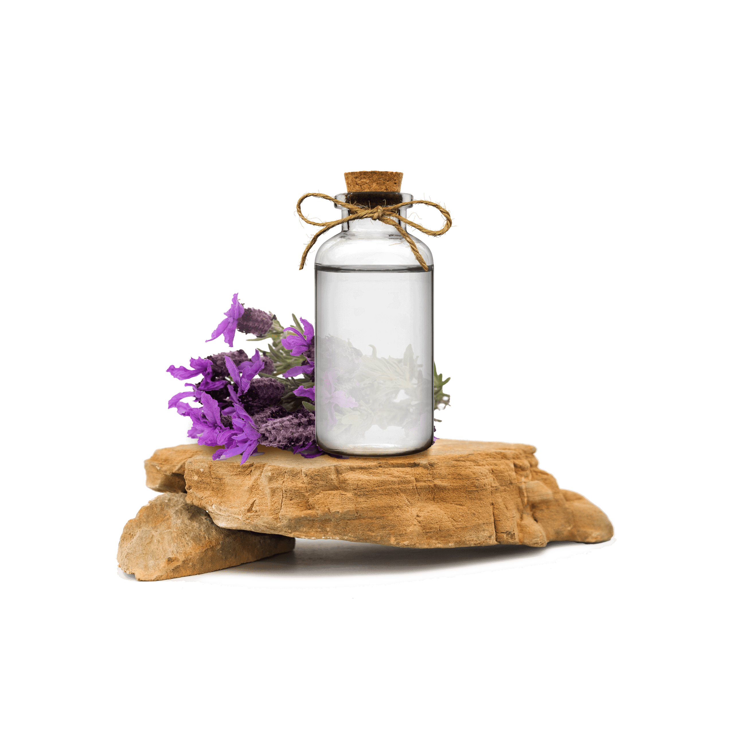 Karabaşotu Ekstraktı - Lavandula Stoechas Extract