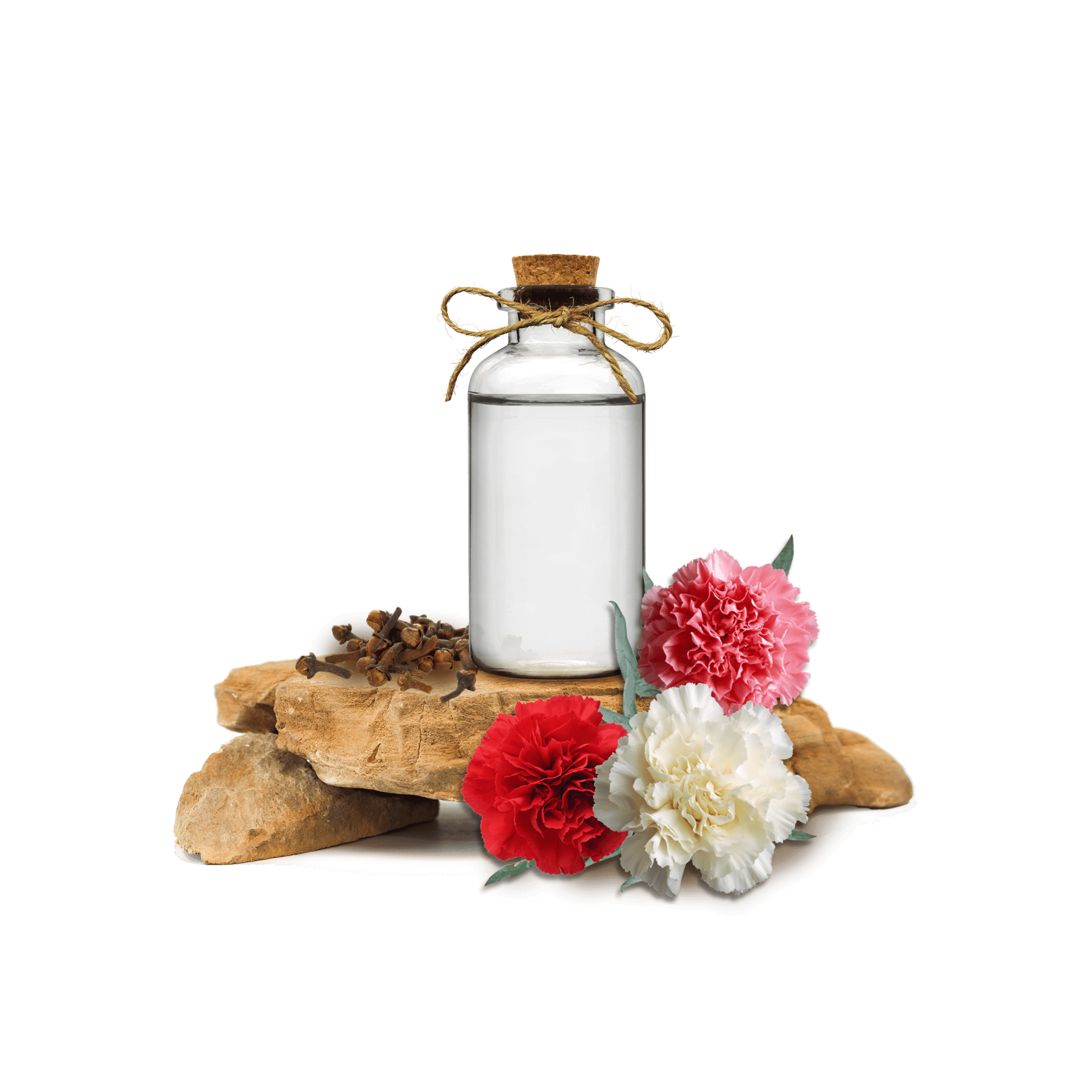 Karanfil Ekstraktı - Clove Extract
