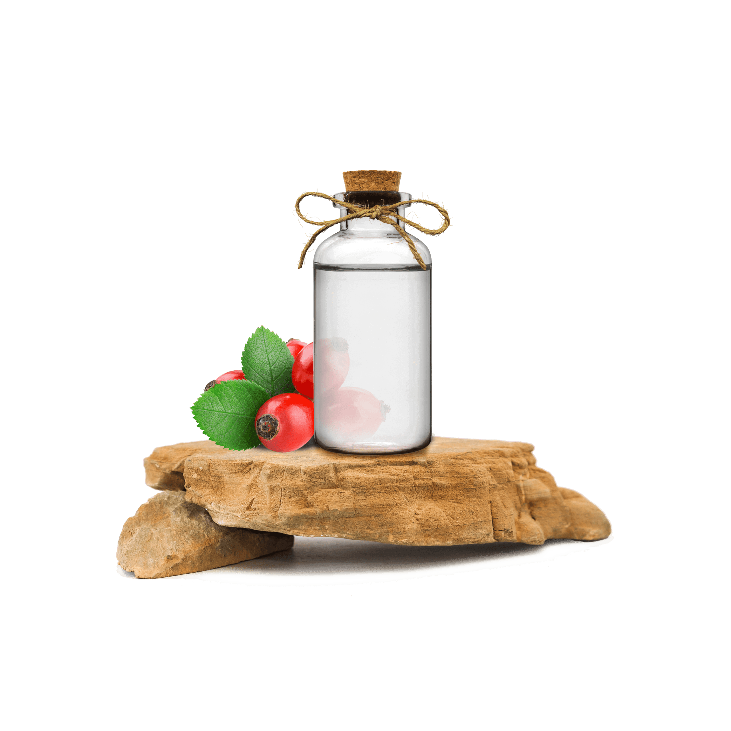 Kuşburnu Ekstraktı - Rosehip Extract