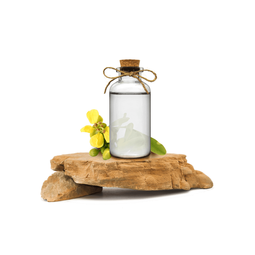 Sinameki Ekstraktı - Senna Extract