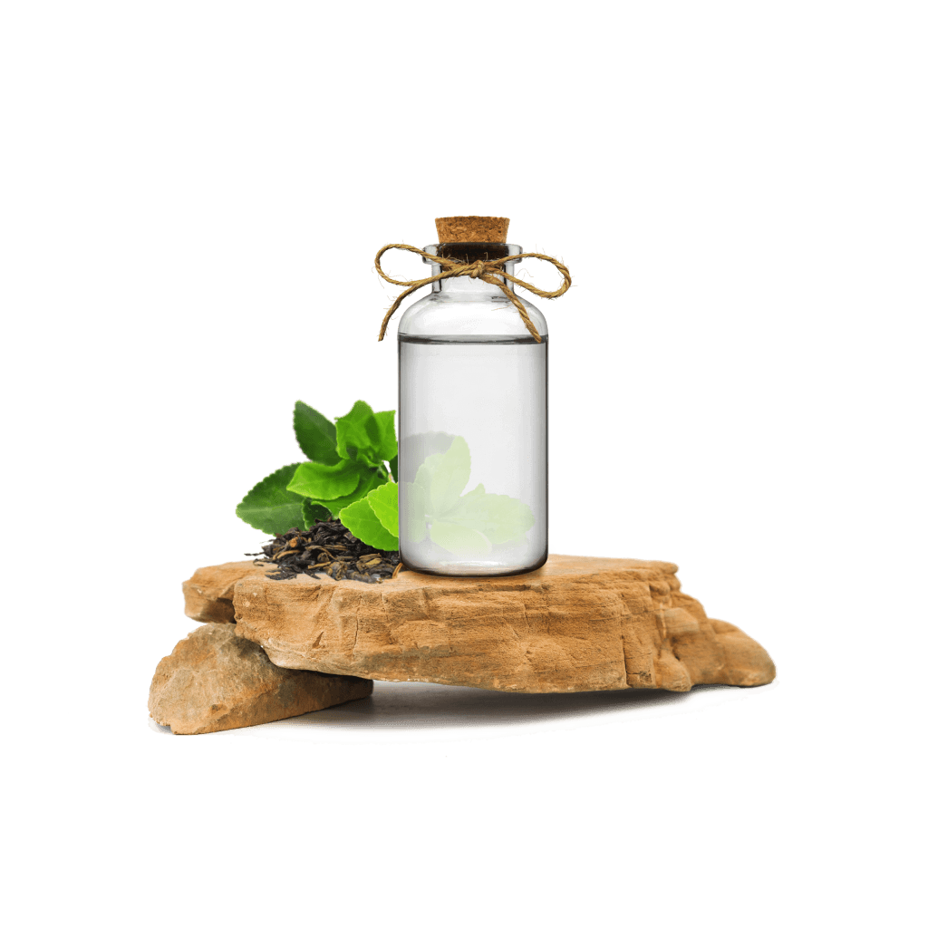 Yeşil Çay Ekstraktı - Green Tea Extract