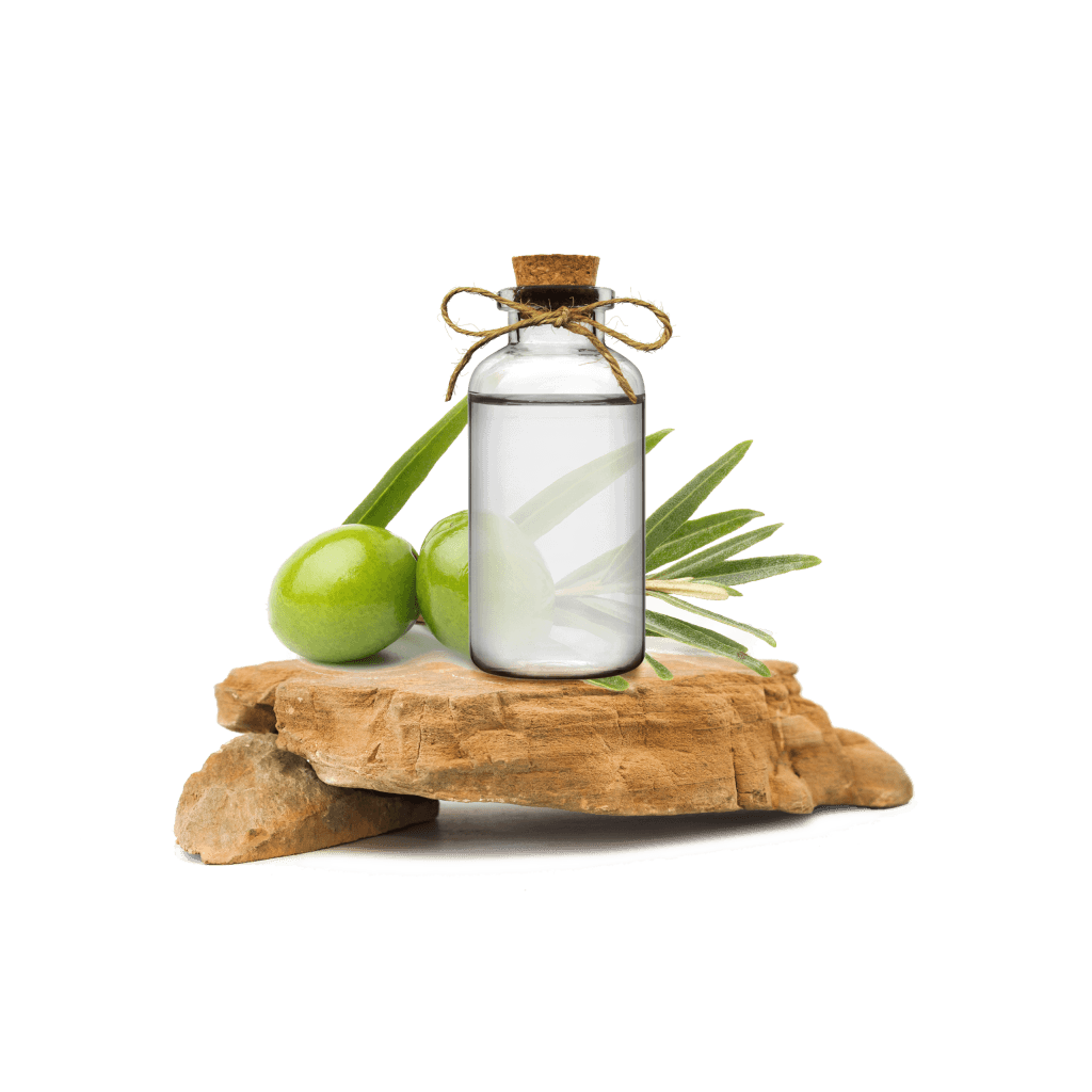 Zeytin Yaprağı Ekstraktı - Olive Leaf Extract