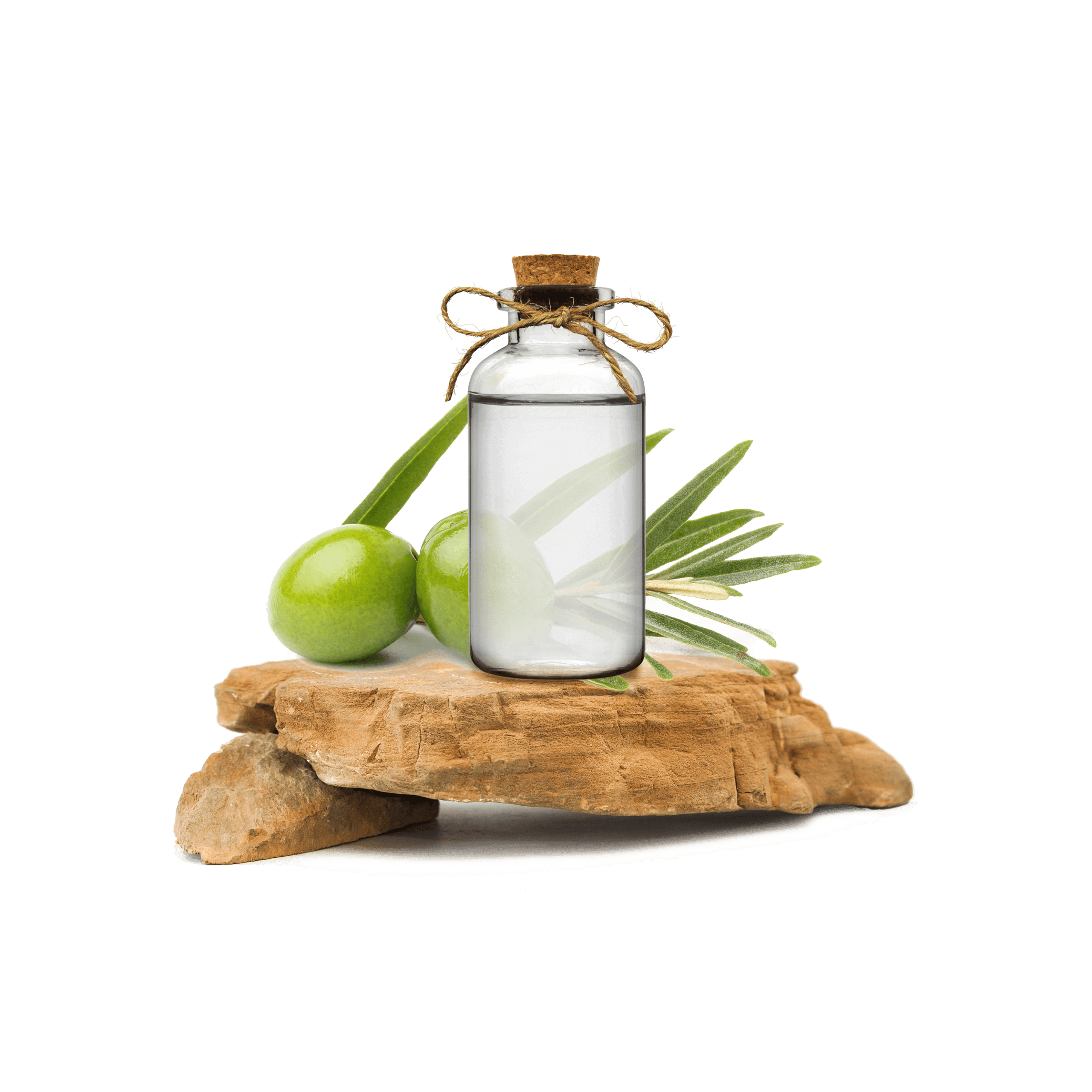 Zeytin Yaprağı Ekstraktı - Olive Leaf Extract