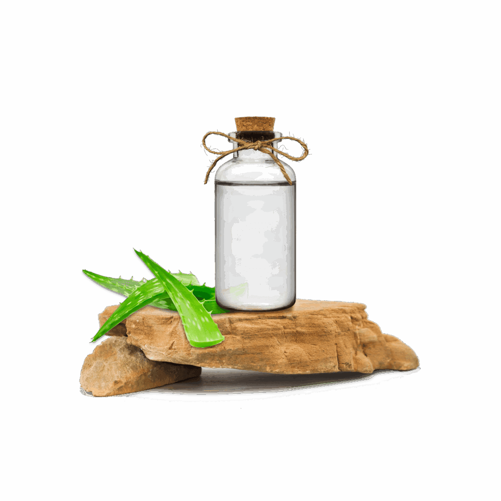 Konsantre Aloe Vera (1:10)