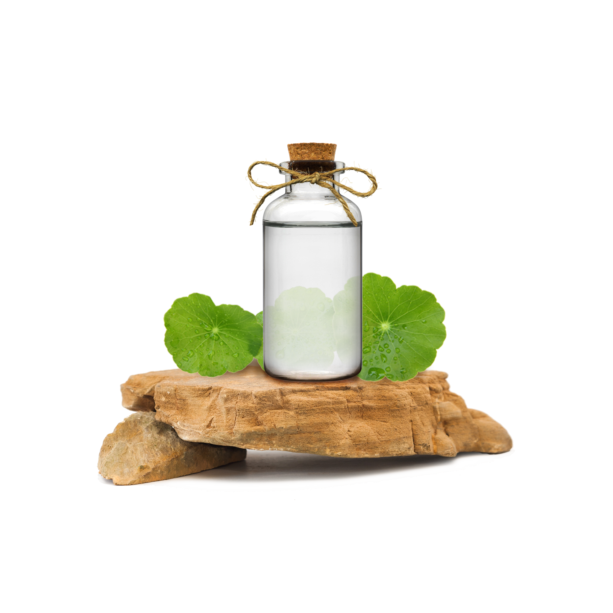 gotu-kola-ekstrakt-sat-sabunaria
