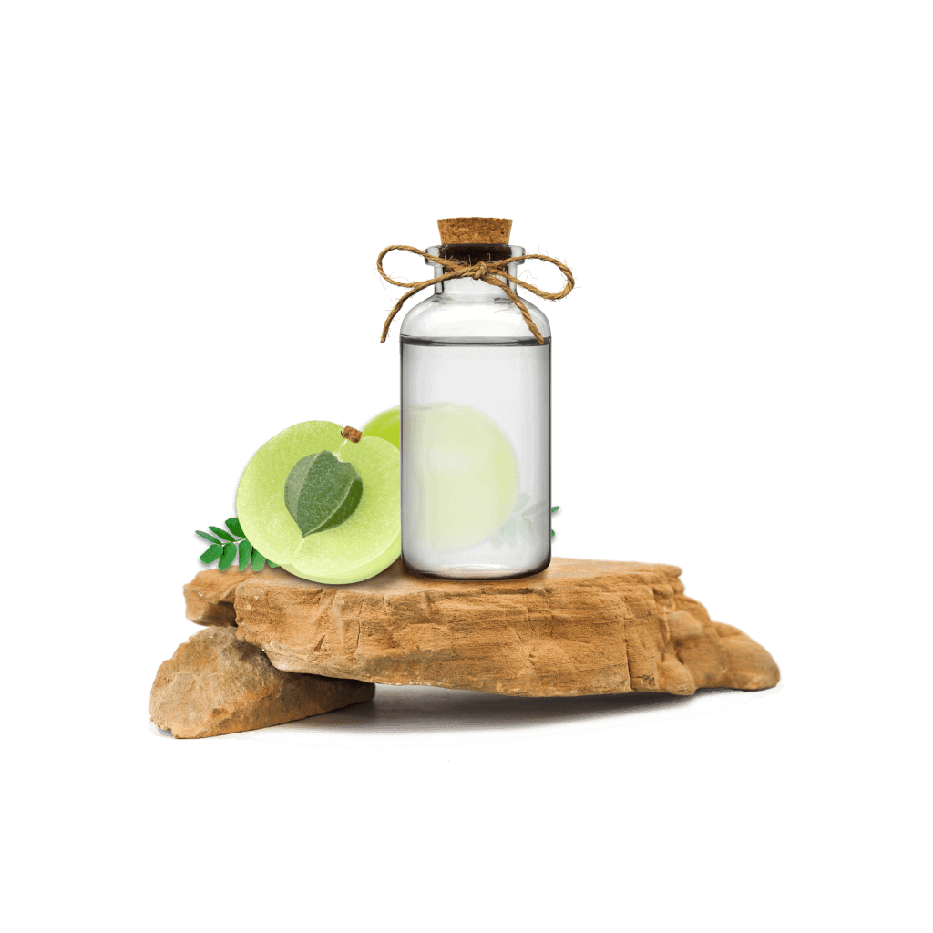 Amla Ekstraktı - (Amla Extract)