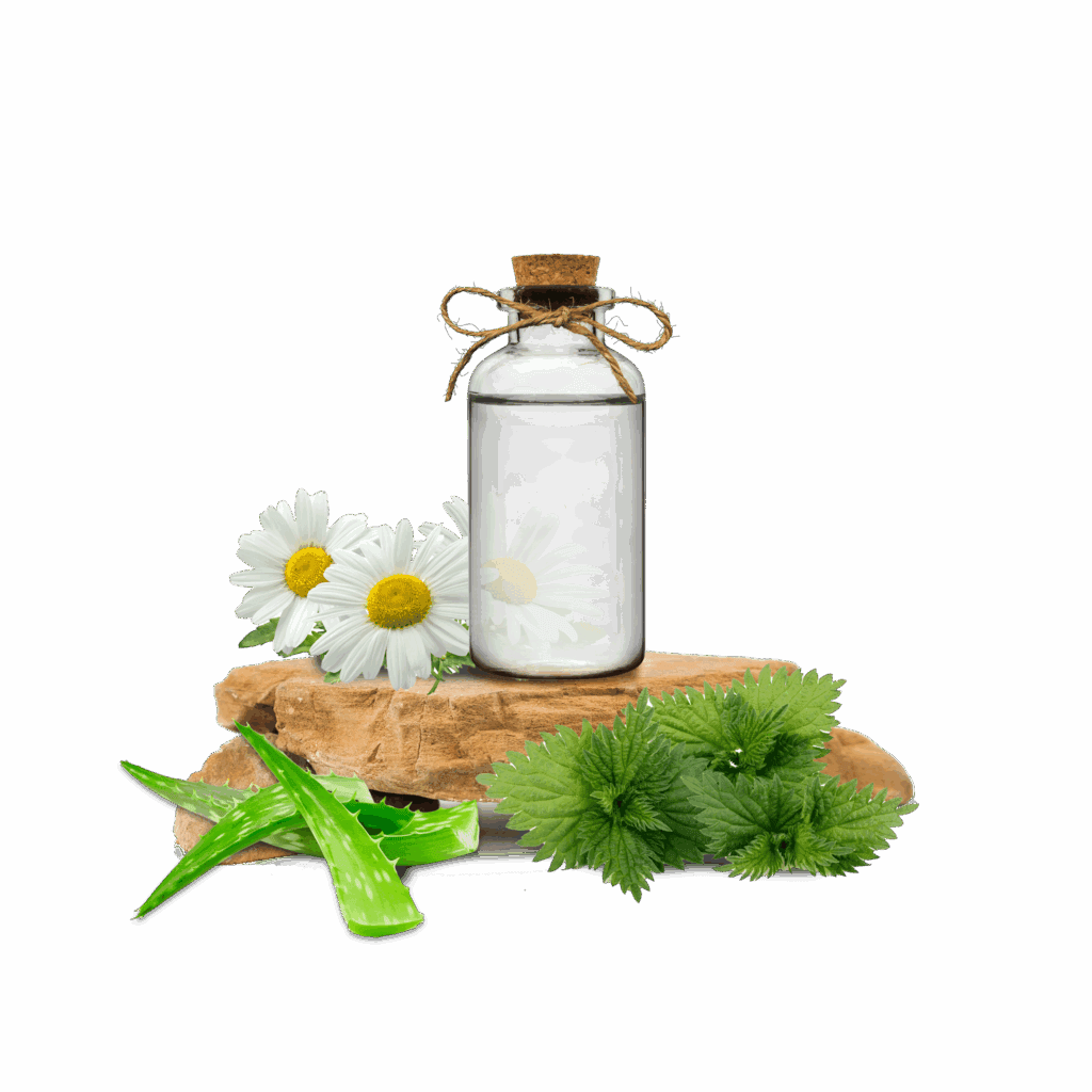 Papatya-Aloe Vera-Isırgan Otu Ekstraktı