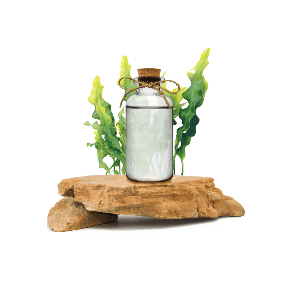 Spirulina Ekstraktı - Spirulina Extract